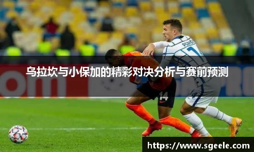 雷竞技官网