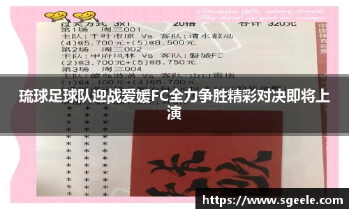 雷竞技
