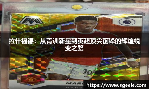 雷竞技